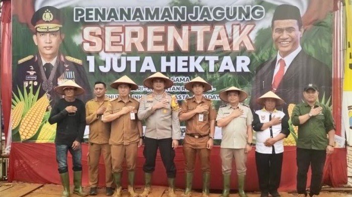 Mantap! Penanaman Jagung Serentak Satu Juta Hektar di Areal Kapet Batulicin